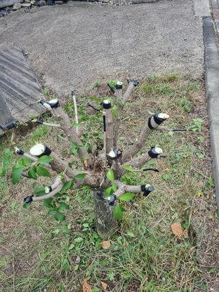 김용대님의 자유주제 · 자유게시판 작성글 사진