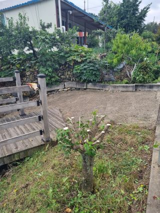 김용대님의 자유주제 · 자유게시판 작성글 사진