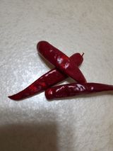 팜모닝 고추·병해충상담 게시글 이미지