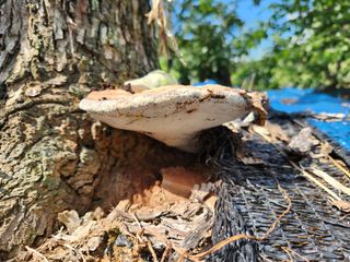 김영옥님의 자유주제 · 자유게시판 작성글 사진