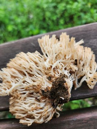 김영옥님의 자유주제 · 자유게시판 작성글 사진