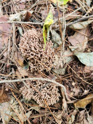 김영옥님의 자유주제 · 자유게시판 작성글 사진