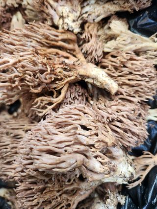 김영옥님의 자유주제 · 자유게시판 작성글 사진