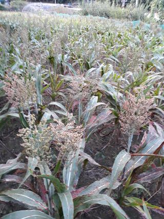 조동원님의 자유주제 · 자유게시판 작성글 사진