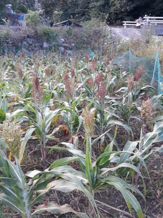 조동원님의 자유주제 · 자유게시판 작성글 사진