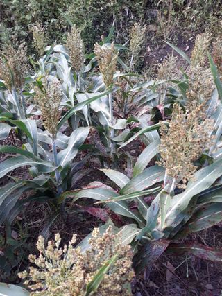 조동원님의 자유주제 · 자유게시판 작성글 사진
