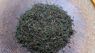 선곡다원님의 기타작물 · 영농일지 작성글 사진