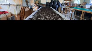 선곡다원님의 기타작물 · 영농일지 작성글 사진