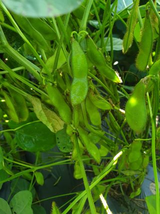 샤이니바다님의 자유주제 · 자유게시판 작성글 사진