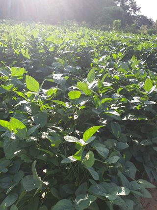 샤이니바다님의 자유주제 · 자유게시판 작성글 사진