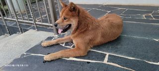 이동훈님의 자유주제 · 자유게시판 작성글 사진