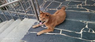 이동훈님의 자유주제 · 자유게시판 작성글 사진