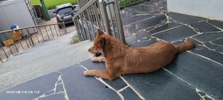 이동훈님의 자유주제 · 자유게시판 작성글 사진