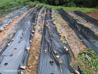 엄재식님의 자유주제 · 자유게시판 작성글 사진