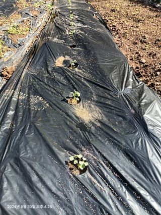 엄재식님의 자유주제 · 자유게시판 작성글 사진