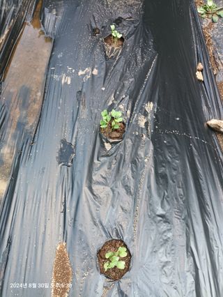 엄재식님의 자유주제 · 자유게시판 작성글 사진