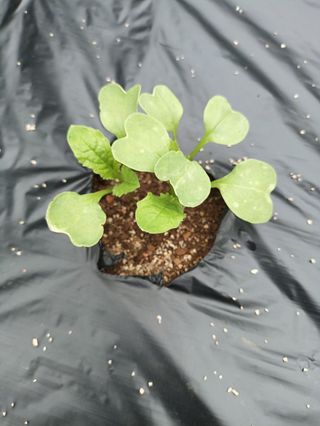 엄재식님의 자유주제 · 자유게시판 작성글 사진