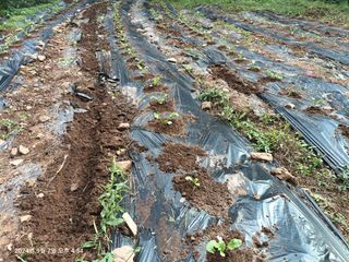 엄재식님의 자유주제 · 자유게시판 작성글 사진