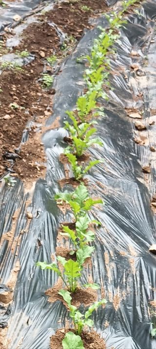 엄재식님의 자유주제 · 자유게시판 작성글 사진