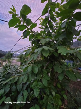 곽해선님의 자유주제 · 자유게시판 작성글 사진