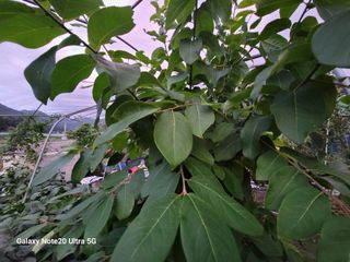 곽해선님의 자유주제 · 자유게시판 작성글 사진