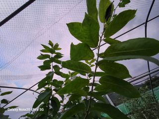 곽해선님의 자유주제 · 자유게시판 작성글 사진