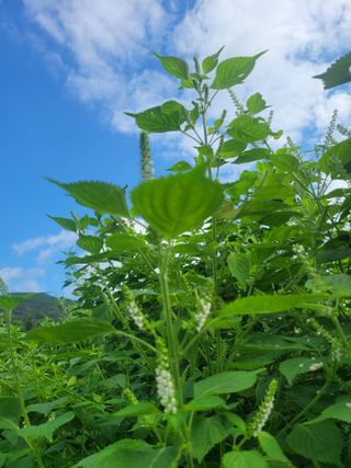 원탑님의 자유주제 · 자유게시판 작성글 사진