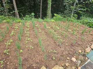 정정애님의 자유주제 · 자유게시판 작성글 사진