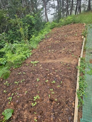 정정애님의 자유주제 · 자유게시판 작성글 사진