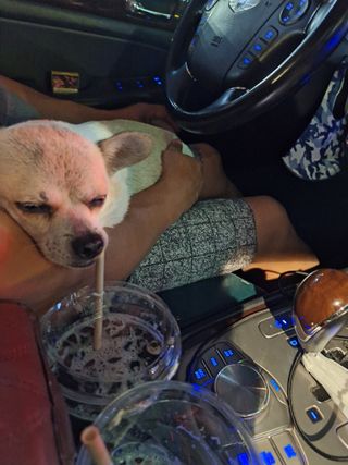 남 샘결 개둥맘님의 자유주제 · 자유게시판 작성글 사진