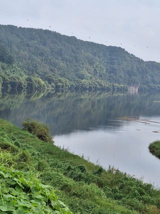 남 샘결 개둥맘님의 자유주제 · 자유게시판 작성글 사진
