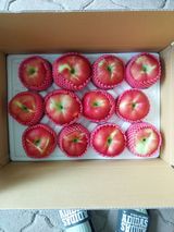 팜모닝 자유주제·자유게시판 게시글 이미지