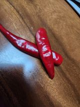 팜모닝 고추·병해충상담 게시글 이미지