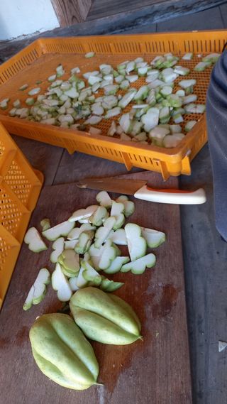 힐링나마시님의 기타작물 · 영농일지 작성글 사진