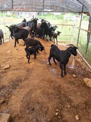 김석현님의 작성글 사진