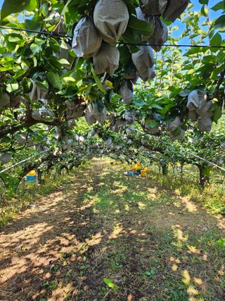 충남공주이도은님의 자유주제 · 자유게시판 작성글 사진