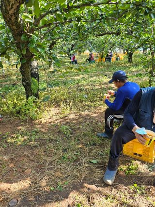충남공주이도은님의 자유주제 · 자유게시판 작성글 사진