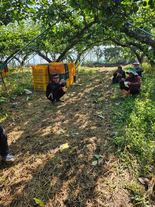 충남공주이도은님의 자유주제 · 자유게시판 작성글 사진