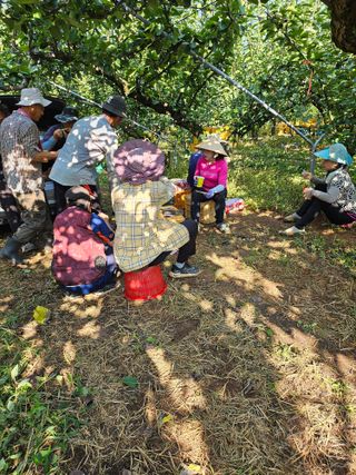 충남공주이도은님의 자유주제 · 자유게시판 작성글 사진