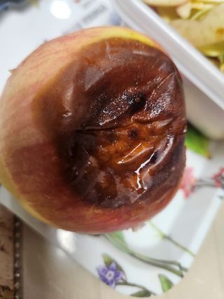 시골에 살어리랏다 님의 자유주제 · 자유게시판 작성글 사진