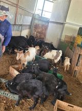 팜모닝 자유주제·자유게시판 게시글 이미지