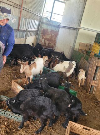 서해숙님의 자유주제 · 자유게시판 작성글 사진