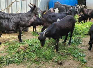 서해숙님의 자유주제 · 자유게시판 작성글 사진