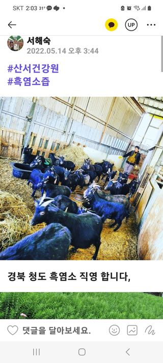 서해숙님의 자유주제 · 자유게시판 작성글 사진