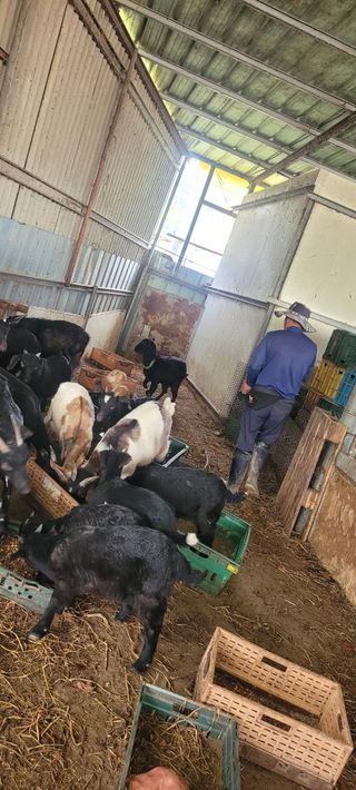 서해숙님의 자유주제 · 자유게시판 작성글 사진