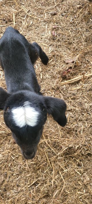 서해숙님의 자유주제 · 자유게시판 작성글 사진