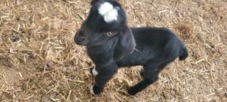 서해숙님의 자유주제 · 자유게시판 작성글 사진