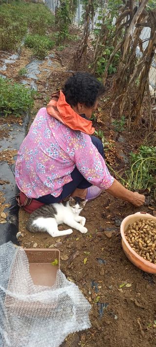장만월님의 자유주제 · 자유게시판 작성글 사진