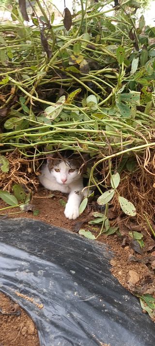 장만월님의 자유주제 · 자유게시판 작성글 사진