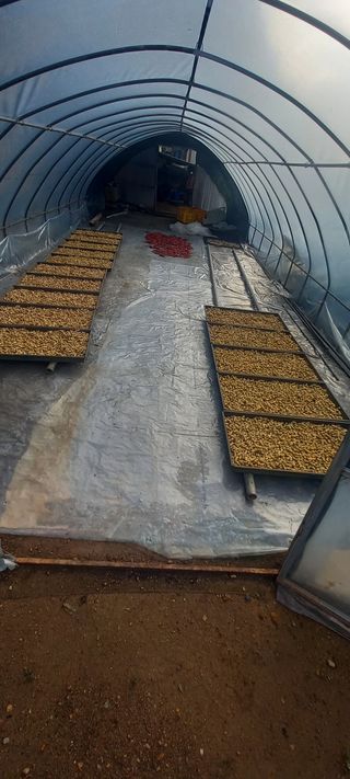 장만월님의 자유주제 · 자유게시판 작성글 사진